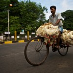 The Amazing Chicken Bike
