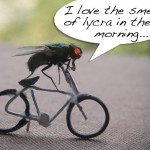 Saturday Red Eye Ride