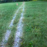 Grass Track: Living Dangerously