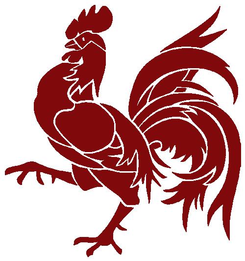 The Rooster has Landed – Winnipeg CycleChick